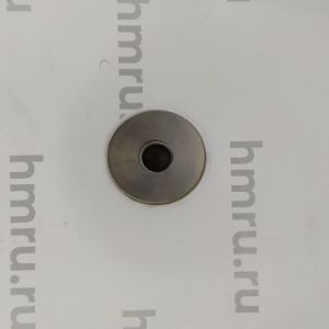 Поршень с кольцами (PTFE) для LPF/PPF-250(T)
